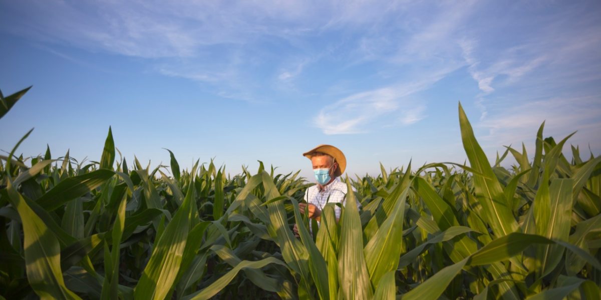 Farmworkers put their lives at risk during COVID-19