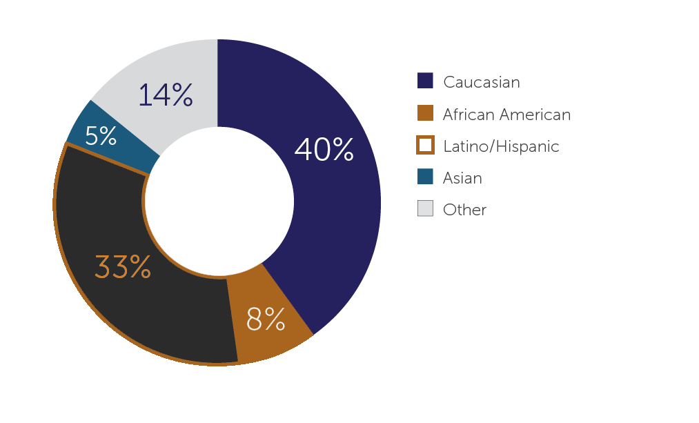 Colleges of Law | Diverse Student Body Statistics Caucasian-40%,African American-8%,Latino/Hispanic-33%,Asian-5%,Other-14%